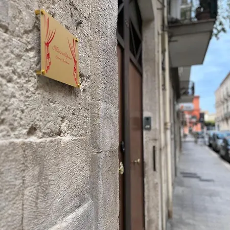 Dom wakacyjny Maison Opera *